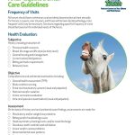 AAEP_Equine_Dental_Care_Guidelines_p1