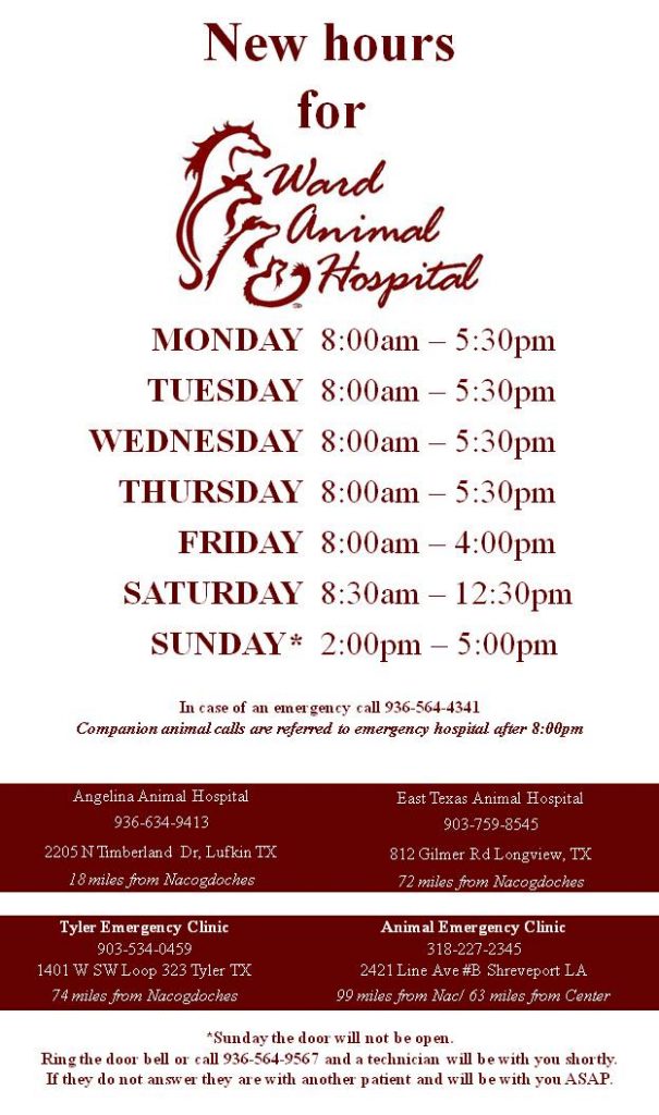 new hours flyer 1