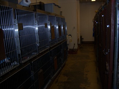 Small Kennels
