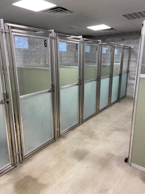 Big Kennels